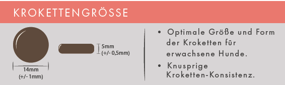 Lachs & Forelle, feiner Süßkartoffel und zartem Spargel