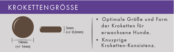 Zarte Ente mit Süßkartoffel und fruchtiger Orange