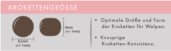 Welpenfutter - Kleine Seefahrer Ahoi! - Lachs, Schellfisch, Weißfisch, Spargel & Süßkartoffel