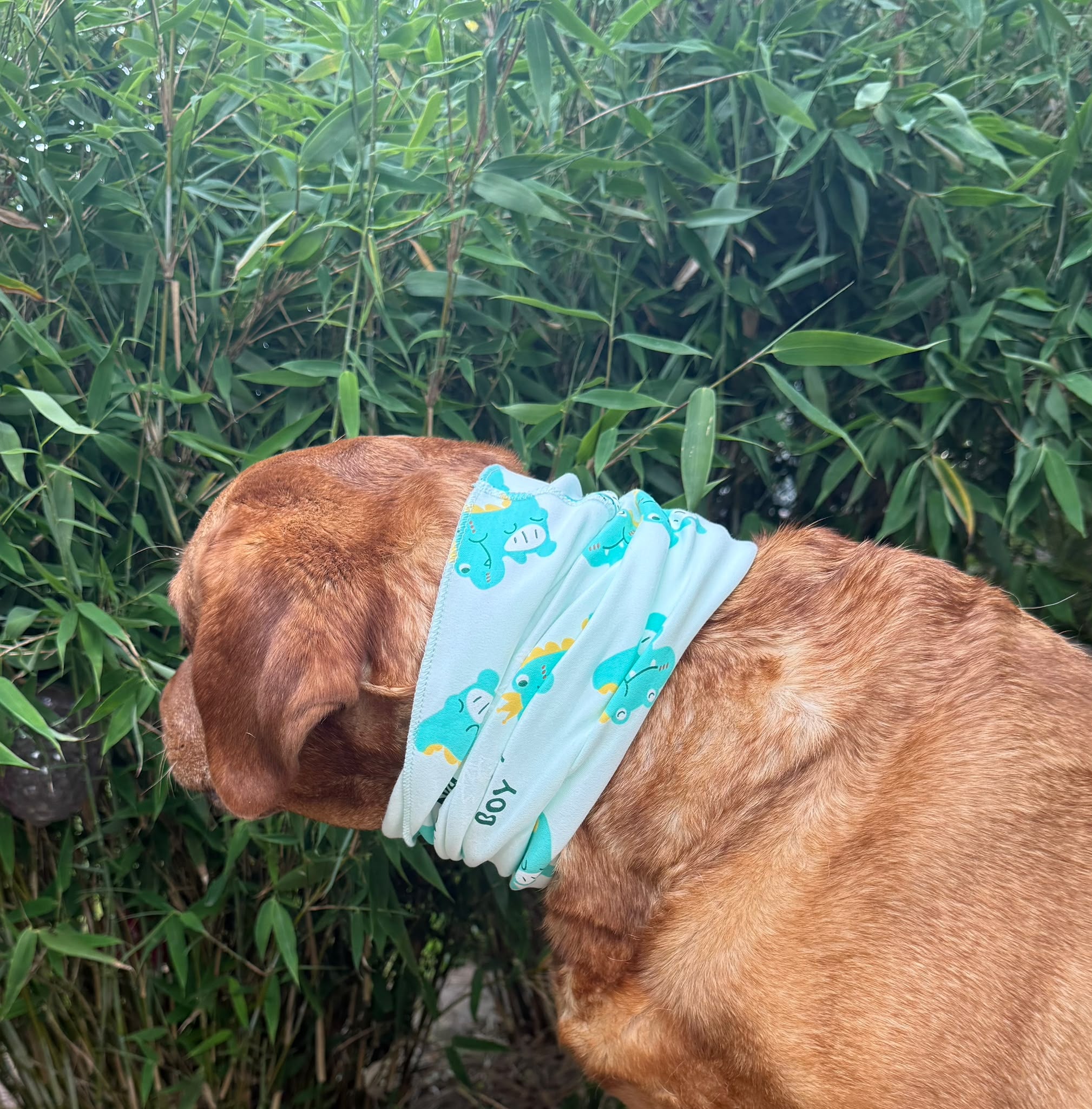 Hunde-Loops