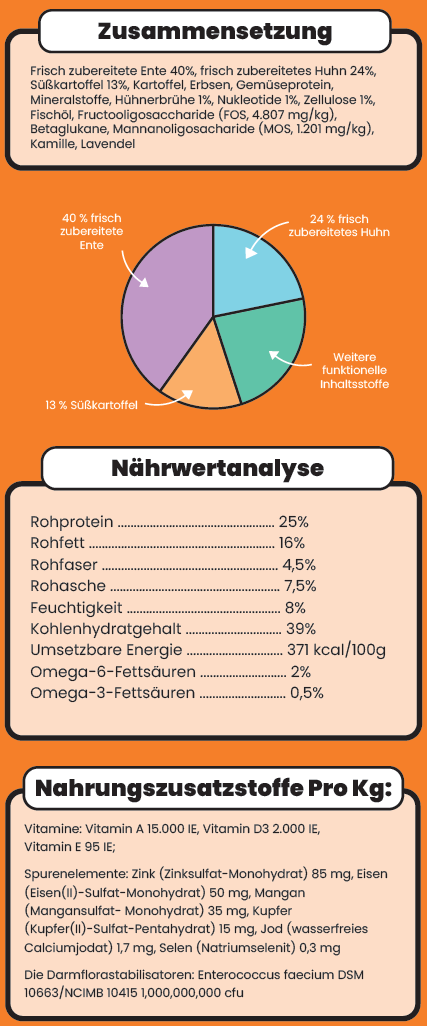 Snack - Verdauungsfördernd