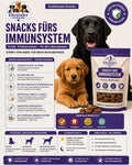Snack - Immunsystem