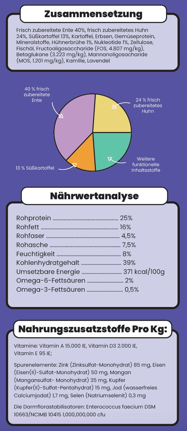 Snack - Immunsystem